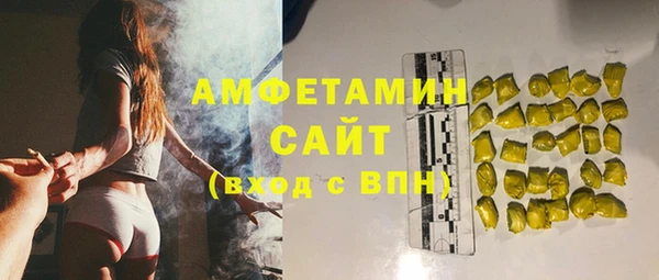 индика Богородск
