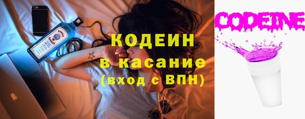 spice Богородицк