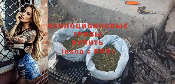 индика Богородск