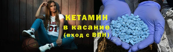 индика Богородск