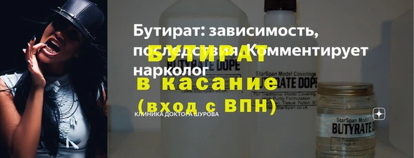 индика Богородск