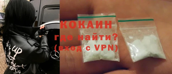 индика Богородск