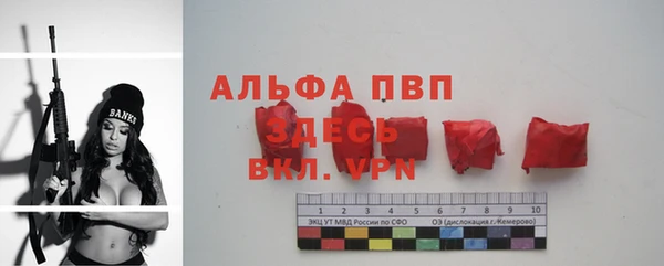 индика Богородск