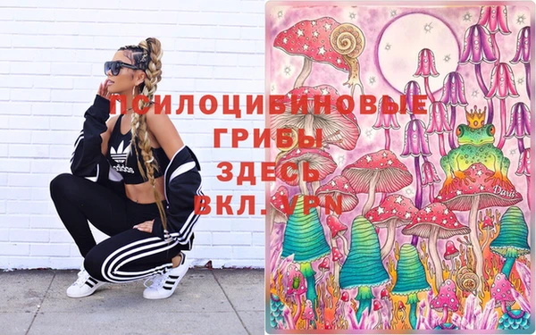индика Богородск
