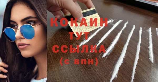 spice Богородицк
