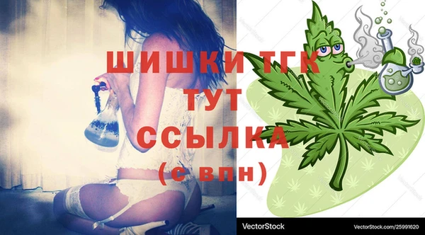 spice Богородицк