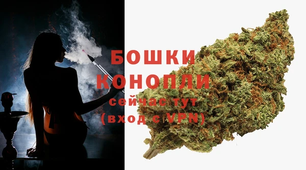 индика Богородск