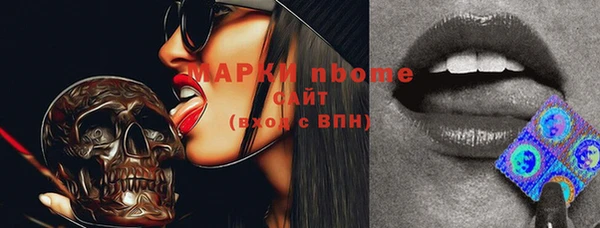 spice Богородицк