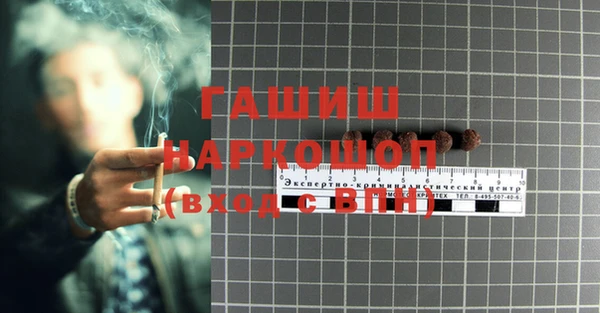 spice Богородицк