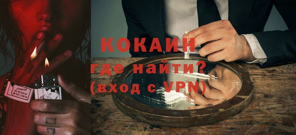индика Богородск