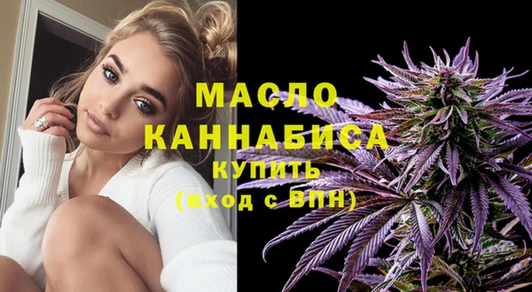 индика Богородск